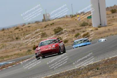 media/May-03-2025-Lucky Dog Racing (Sat) [[206de64b9d]]/Turn 6 (150pm-230pm)/